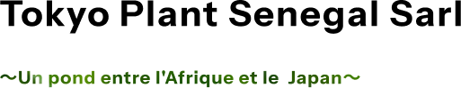 Tokyo plant Senegal SARL ~Un pond entre l'Afrique et le Japan~